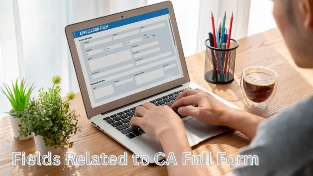 Fields Related to CA Full Form