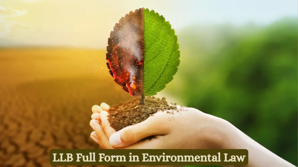 LLB Full Form in Environmental Law
