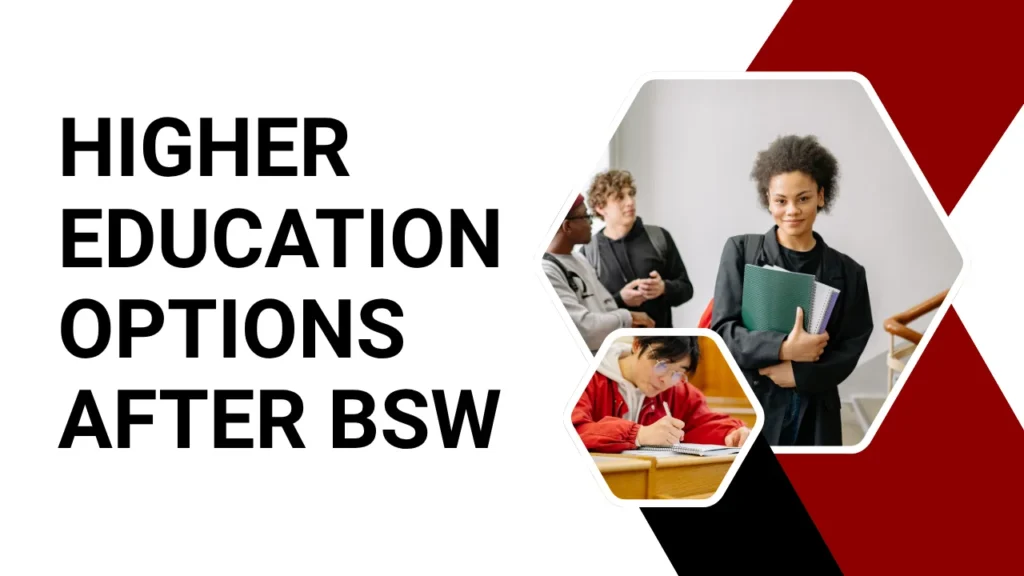 BSW Full Form and Higher Education Options After BSW