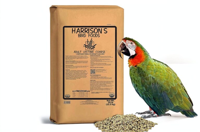 Switching to Harrisons Bird Pellets A Small Change Your Parrot Will Thank You For