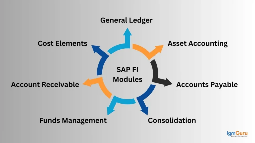 SAP FICO Full Form in Medicine and Health