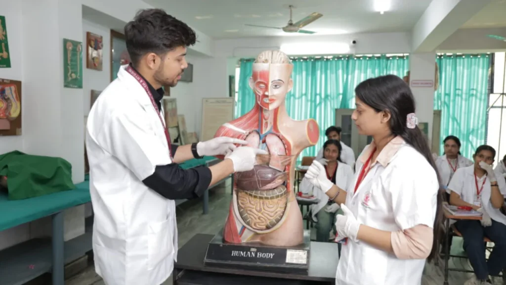 GNM Full Form in Medicine and Health